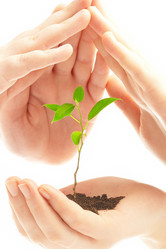 Similar image 489345