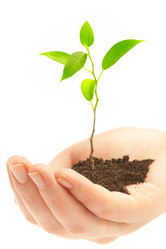 Similar image 489348