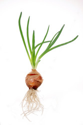 Similar image 489367