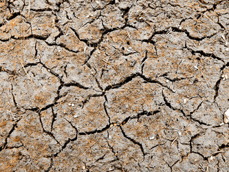 Similar image 489452