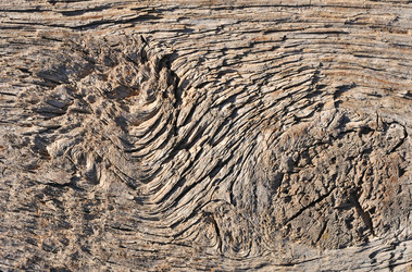 Similar image 489494