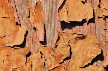 Similar image 489498