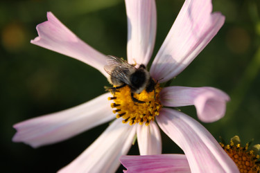 Similar image 489505