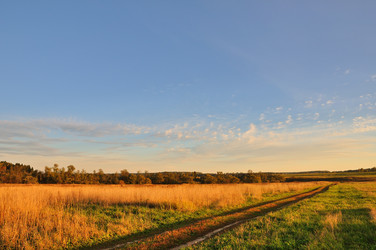 Similar image 489527