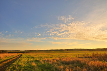 Similar image 489528