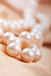 Similar image 489549