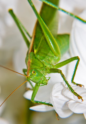 Similar image 489621