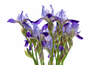 Similar image 489623