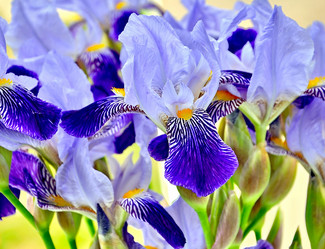 Similar image 489624