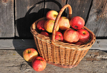 Similar image 489725