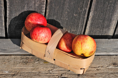 Similar image 489729