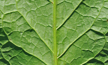 Similar image 489747