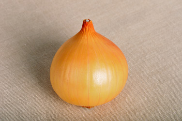 Similar image 489759