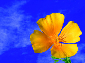 Similar image 489782