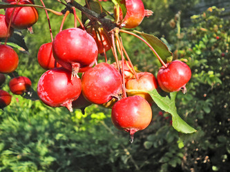 Similar image 489843