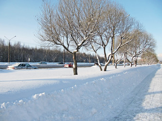 Similar image 489869