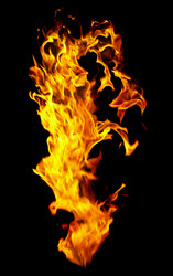 Similar image 489884