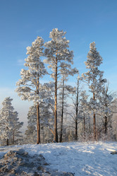 Similar image 489942