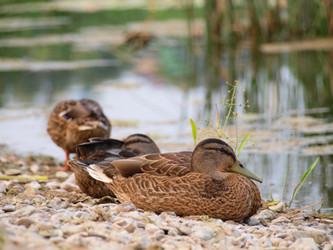 Similar image 489945