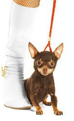 Similar image 489990