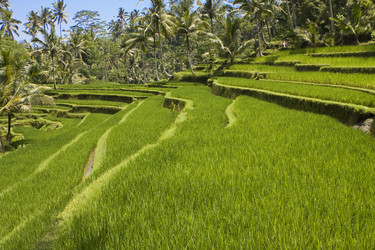 Similar image 490005