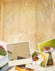 Similar image 490020