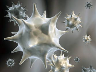 Similar image 490023