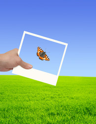 Similar image 490042