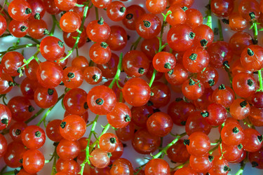 Similar image 490054