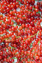 Similar image 490055