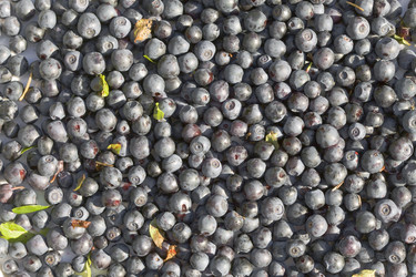 Similar image 490057