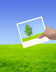 Similar image 490065