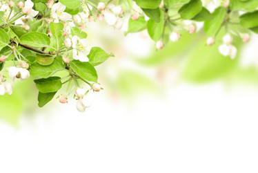 Similar image 490076