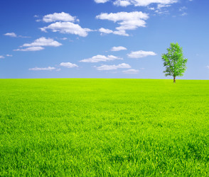 Similar image 490078