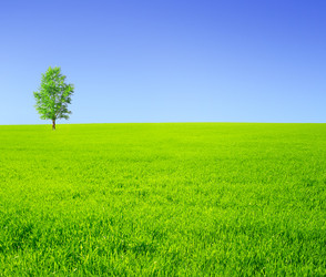 Similar image 490079