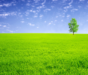 Similar image 490080