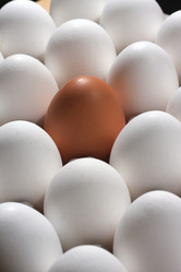 Similar image 490082