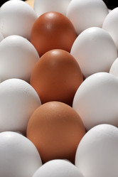 Similar image 490083