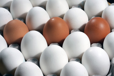 Similar image 490084