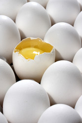 Similar image 490087