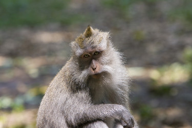 Similar image 490097