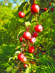 Similar image 490108