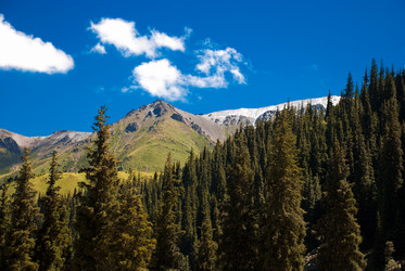 Similar image 490163