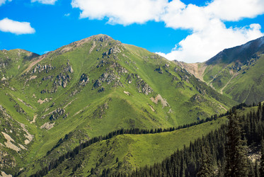 Similar image 490170