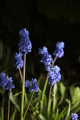 Similar image 490177