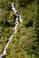 Similar image 490178