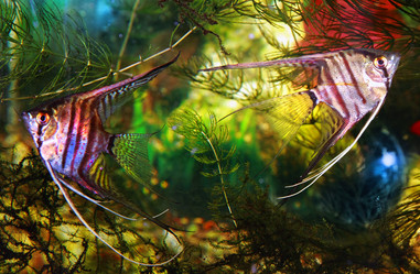 Similar image 490183