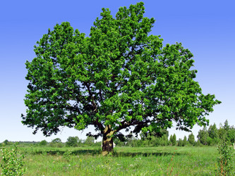 Similar image 490219