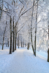 Similar image 490302