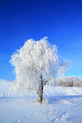 Similar image 490307